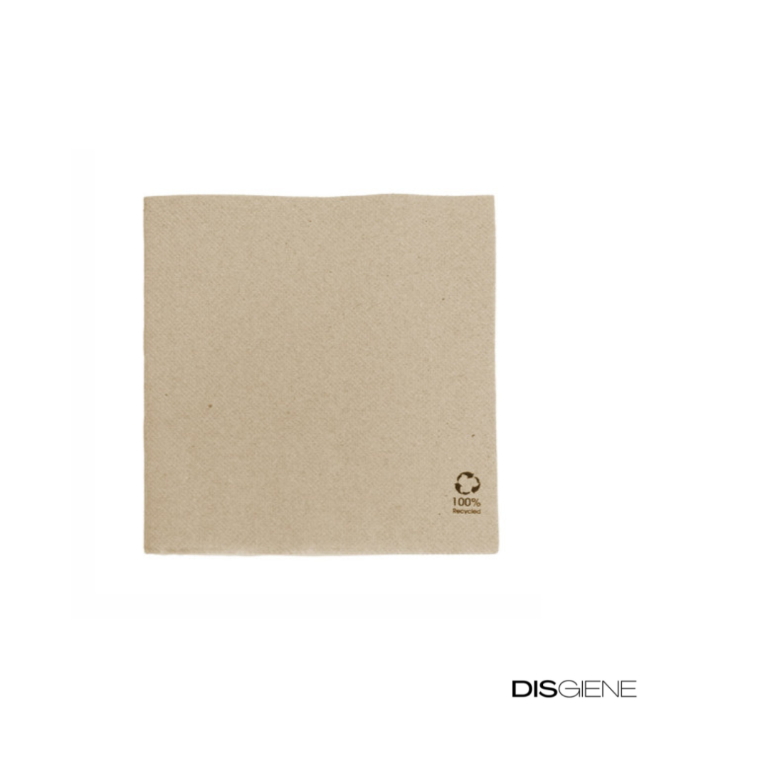 Servilleta 40x40 2 capas BIOECO